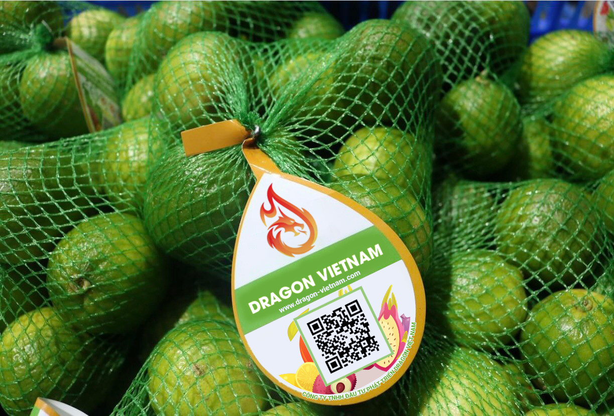 https://dragon-vietnam.com/491842d10882dd88f6e3c2d97302f101 (4)